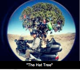 "The Hat Tree"