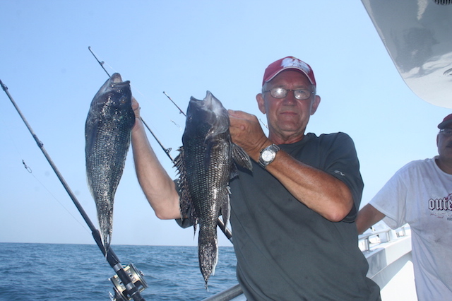 Józek i jego dwa ładne black sea bass