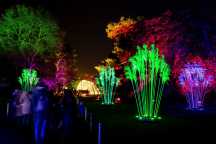 „Lightscape” - magiczna kraina świateł w Brooklyn Botanical Garden