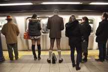 Międzynarodowy Dzień Jazdy Metrem bez Spodni w NYC