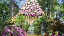 Orchid Show w Botanical Garden