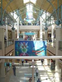 Świąteczne zakupy tylko w Mallu? Historia amerykańskich centrów handlowych