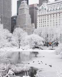 Nowy Jork pełen zimowych atrakcji!