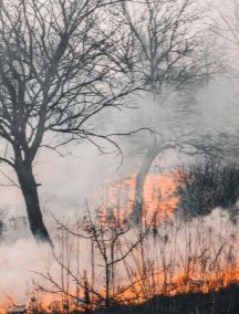 Dramatyczne pożary