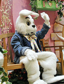 Easter Bunny w bójce