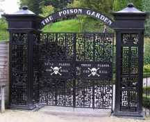 “Trujący Ogród” - The Alnwick Garden