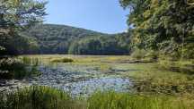 Jenny Jump State Forest – góry, tajemnicze jezioro i noc pod gwiazdami
