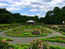Deep Cut Gardens – botaniczna perełka New Jersey